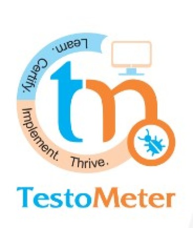 Testo Meter