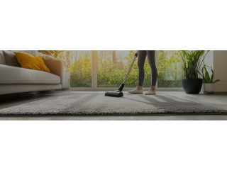 Get a 14-day satisfaction guarantee with all-inclusive Carpet Cleaning Services Adelaide