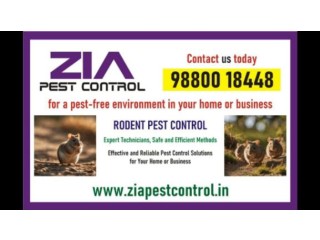 Zia Pest Control | Get Rid of Rodent | Paying Guest and Commercial | 360
