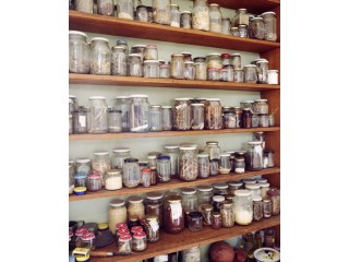 Love marriage expert,Caster in Sydney Australia 