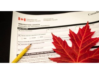 Professional Assistance for Canada Immigration