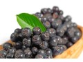 verkauf-von-aronia-in-grossen-mengen-vom-hersteller-zu-den-besten-preisen-small-1