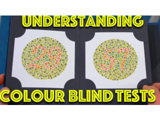 Colour blindness tests in Vikaspuri