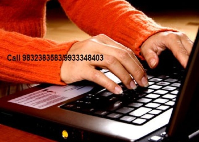 online-data-entry-job-big-0