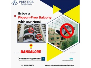 Top-Quality Pigeon Safety Nets in Bangalore – Prestige Safety Nets