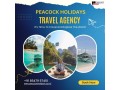 tour-packages-with-peacock-travel-holidays-kochi-small-0