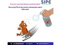 cockroach-pest-control-bangalore-cockroach-treatment-sipc-small-0