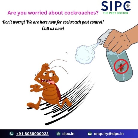 cockroach-pest-control-bangalore-cockroach-treatment-sipc-big-0