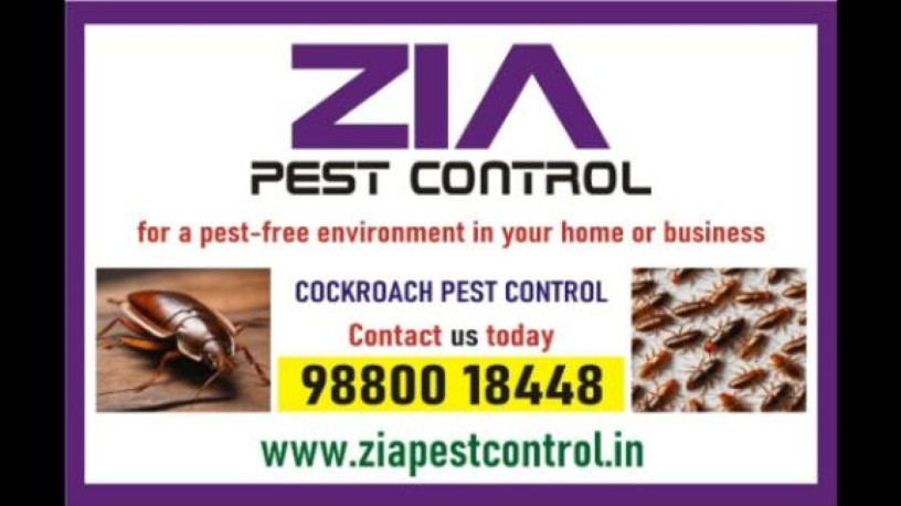 top-cockroach-pest-control-garden-pest-control-ant-lizard-4029-big-0