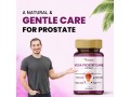 veda-prostat-care-capsules-ayurvedic-prostate-medicine-small-0