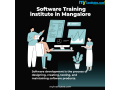 software-training-institutes-in-mangalore-small-0