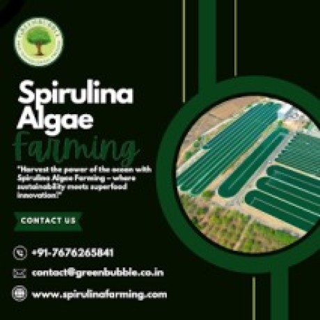 spirulina-farming-solution-spirulina-algae-farming-big-1