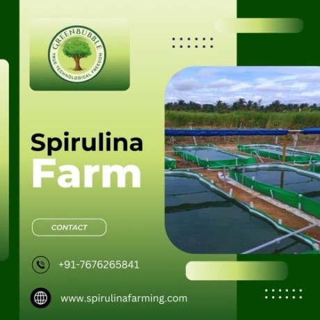 spirulina-farming-solution-spirulina-algae-farming-big-2