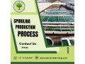 spirulina-production-process-step-by-step-spirulina-cultivation-small-1