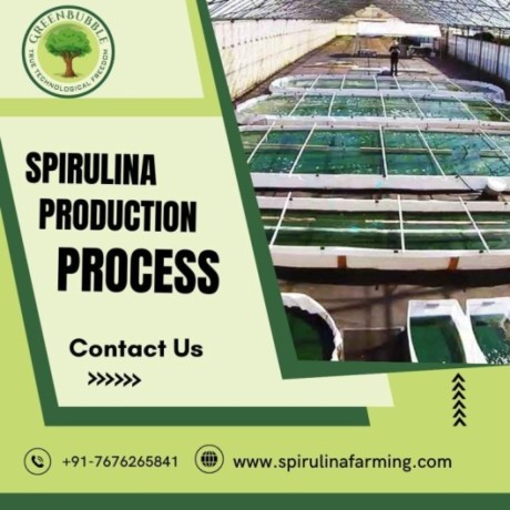 spirulina-production-process-step-by-step-spirulina-cultivation-big-1