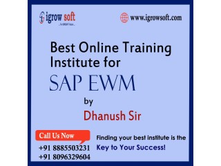 SAP EWM Online Training in Hyderabad from Igrowsoft