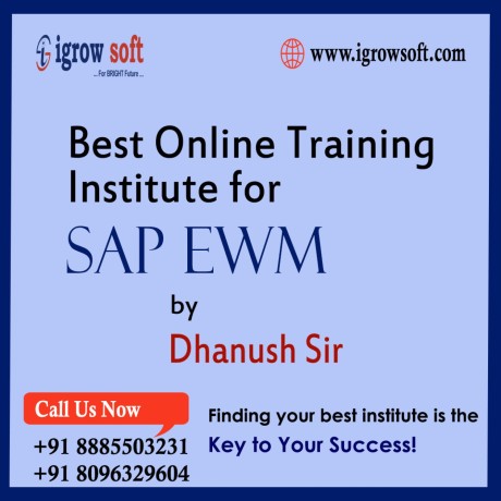 sap-ewm-online-training-in-hyderabad-from-igrowsoft-big-0