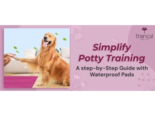 Know about step by step guide with waterproof pet training pads