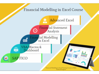 Financial Modeling Certification Course in Delhi.110024 . Best Online Live Financial Analyst Course in Jaipur by IIT Faculty , [ 100% Job in MNC]