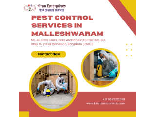 Pest Control Services in Malleshwaram | Safe & Effective Solutions