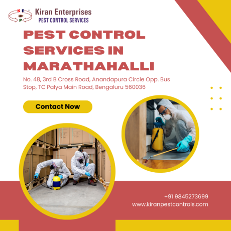 pest-control-services-in-marathahalli-safe-effective-solutions-big-0