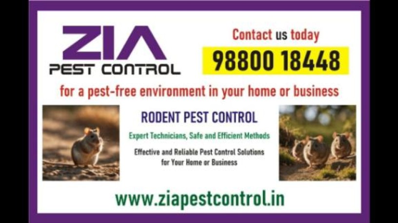 rodent-pest-control-for-hospital-commercial-rodent-control-5074-big-0