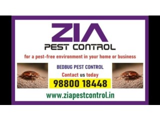 Bed Bug pest Treatment | Hotels and Restaurents | bedbugs Control | 6002