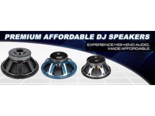 12-Inch DJ Ferrite Speaker