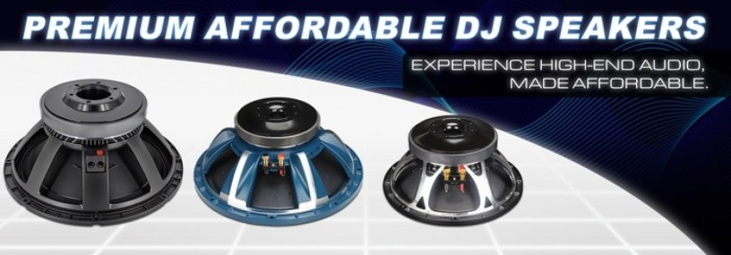 12-inch-dj-ferrite-speaker-big-0