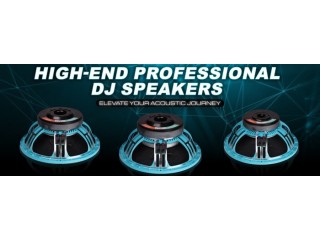 Ferrite DJ Speaker 12 Inch