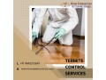 termite-control-services-in-bangalore-safe-effective-solutions-small-0