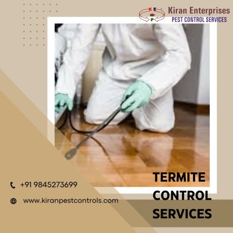 termite-control-services-in-bangalore-safe-effective-solutions-big-0