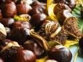 vendita-di-ippocastano-horse-chestnut-allingrosso-dal-produttore-ai-prezzi-migliori-small-2