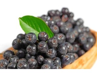 Vendita di "Aronia" all'ingrosso dal produttore ai prezzi migliori