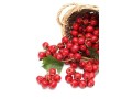 vendita-di-biancospino-hawthorn-allingrosso-dal-produttore-ai-prezzi-migliori-small-1