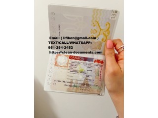 Passports,Drivers Licenses,ID Cards,Birth Certificates,Diplomas,Visas,