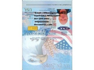 Documents Cloned cards Banknotes dollar / euro Pounds  IDS, Passports, D license