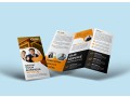 a5-folded-brochures-elitepress-cheap-printing-in-london-small-0