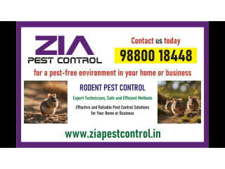 Zia Pest Control | Rodent Control | Rodent  Treatment | 1961 | Satisfaction