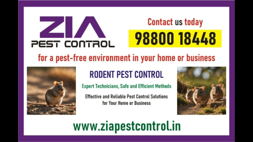 zia-pest-control-rodent-control-rodent-treatment-1961-satisfaction-big-0