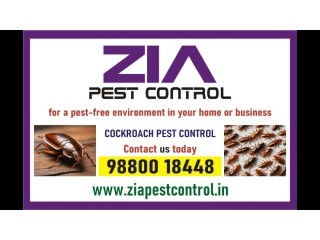 Zia pest control service Say goodbye to these pesky insects