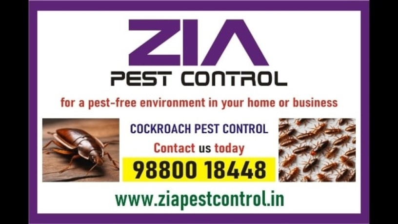 zia-pest-control-service-say-goodbye-to-these-pesky-insects-big-0