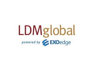 Streamlining Litigation Services with LDM Global: Your Partner in Legal Efficiency