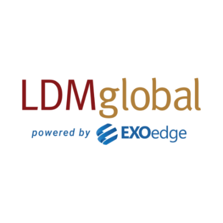 streamlining-litigation-services-with-ldm-global-your-partner-in-legal-efficiency-big-0