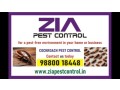 specialist-in-pest-control-services-cockroach-service-upto-50-off-2090-small-0