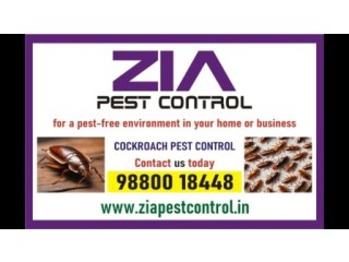 Specialist in Pest Control services | Cockroach service Upto 50% Off |  2090