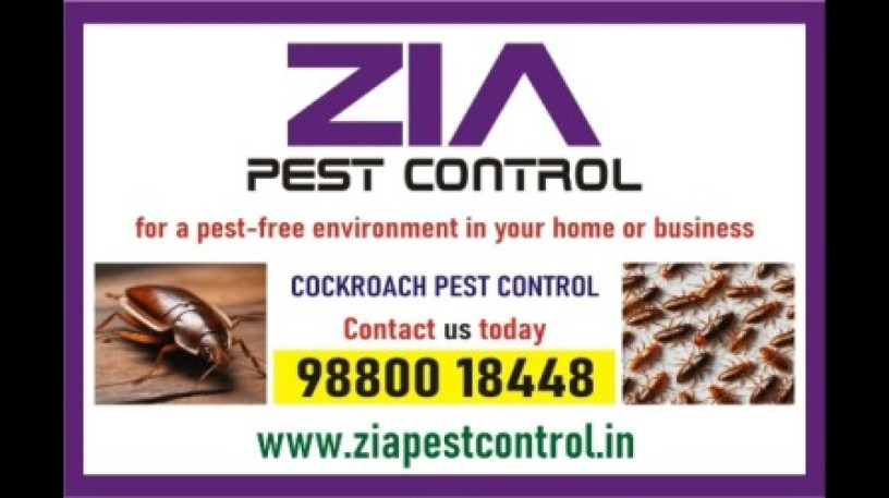 specialist-in-pest-control-services-cockroach-service-upto-50-off-2090-big-0