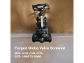 globe-valve-manufacturer-exporter-in-ahmedabad-gujarat-small-1