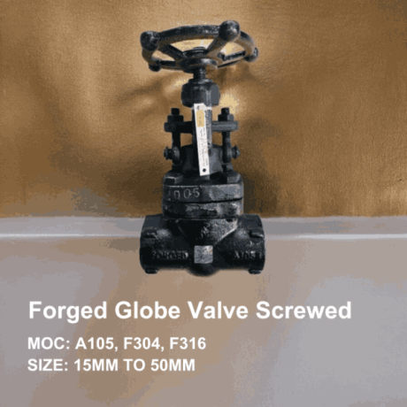 globe-valve-manufacturer-exporter-in-ahmedabad-gujarat-big-1