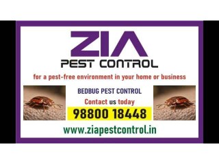 Bedbug Pest Control | Upto 35% Off  | 3075 | effective bedbug treatment